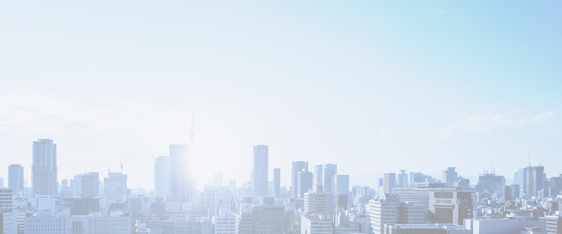 集團(tuán)簡(jiǎn)介-導(dǎo)航